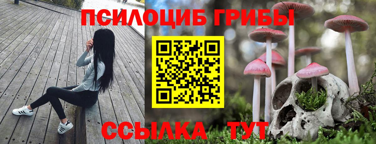 Белогорск  Галлюциногенные грибы GOLDEN TEACHER  Вход с VPN 