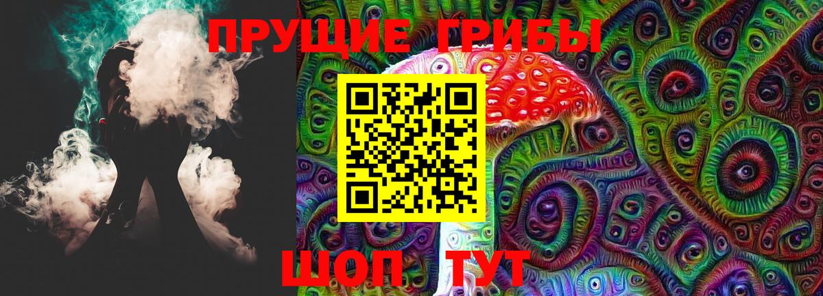 Псилоцибиновые грибы Psilocybine cubensis Белогорск